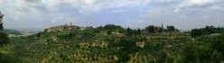 Il colle di Castelmuzio dalla strada per Petroio