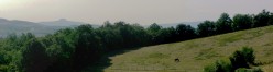 A sud ovest dalla strada che porta a Montefollonico con Radicofani sullo sfondo
