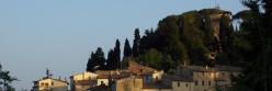 La torre di difesa fra gli alberi