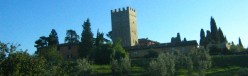 Fattoria fortificata tra gli olivi