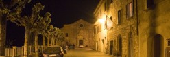 Foto notturna del viale che conduce a Santa Maria dei Servi