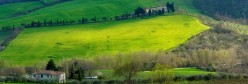 Scorcio di campagna in primavera