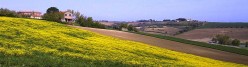 Campagna primaverile