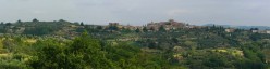 Il centro storico circondato da oloveti