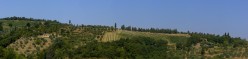 Panoramica collinare a nord del borgo