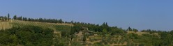 I casali di Farnetella fra vigne e oliveti