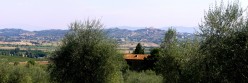 Lucignano sullo sfondo da Farnetella