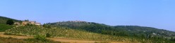 Rigomagno visto da Farnetella