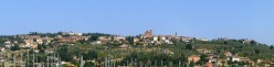 Panoramica su Sinalunga dall'Amorosa
