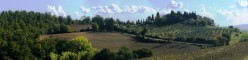 Fattoria fra gli olivi sulla strada per Montefollonico