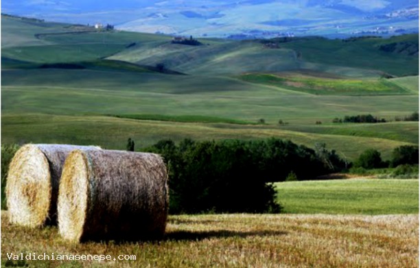 The streets of Val d'Orcia