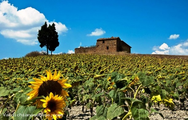 From Montepulciano to Monticchiello