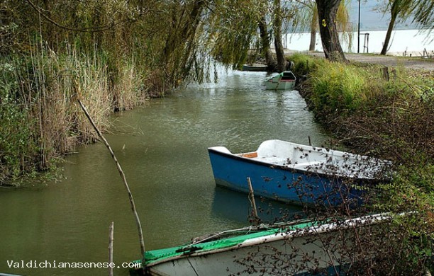 Lakes of Chiusi and Montepulciano