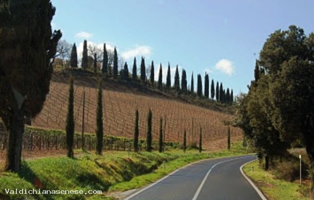 Giro magico fra Pienza e Montepulciano