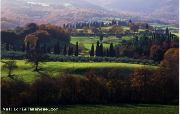 At the turn of the Val d'Orcia and Val di Chiana