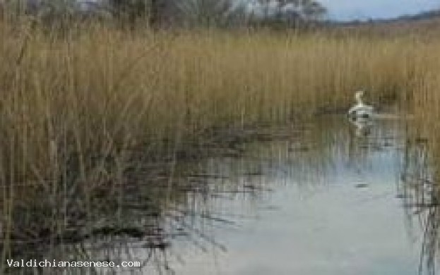 I Chiari tra leggende, arte e natura