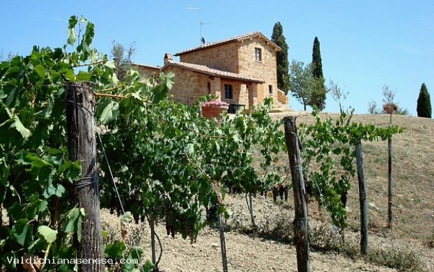 AGRITURISMO CAPPELLI ENZO