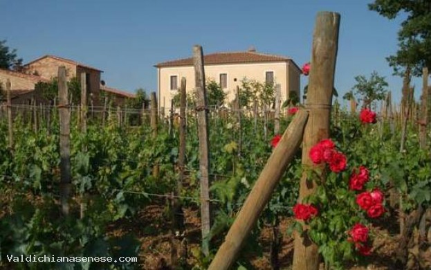 Agriturismo FORNACE DEL CONTE