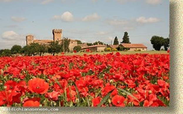 CASTELLO DI SPEDALETTO